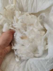 Read more about the article Suppliers for upholsterers: where to buy upholstery supplies ?