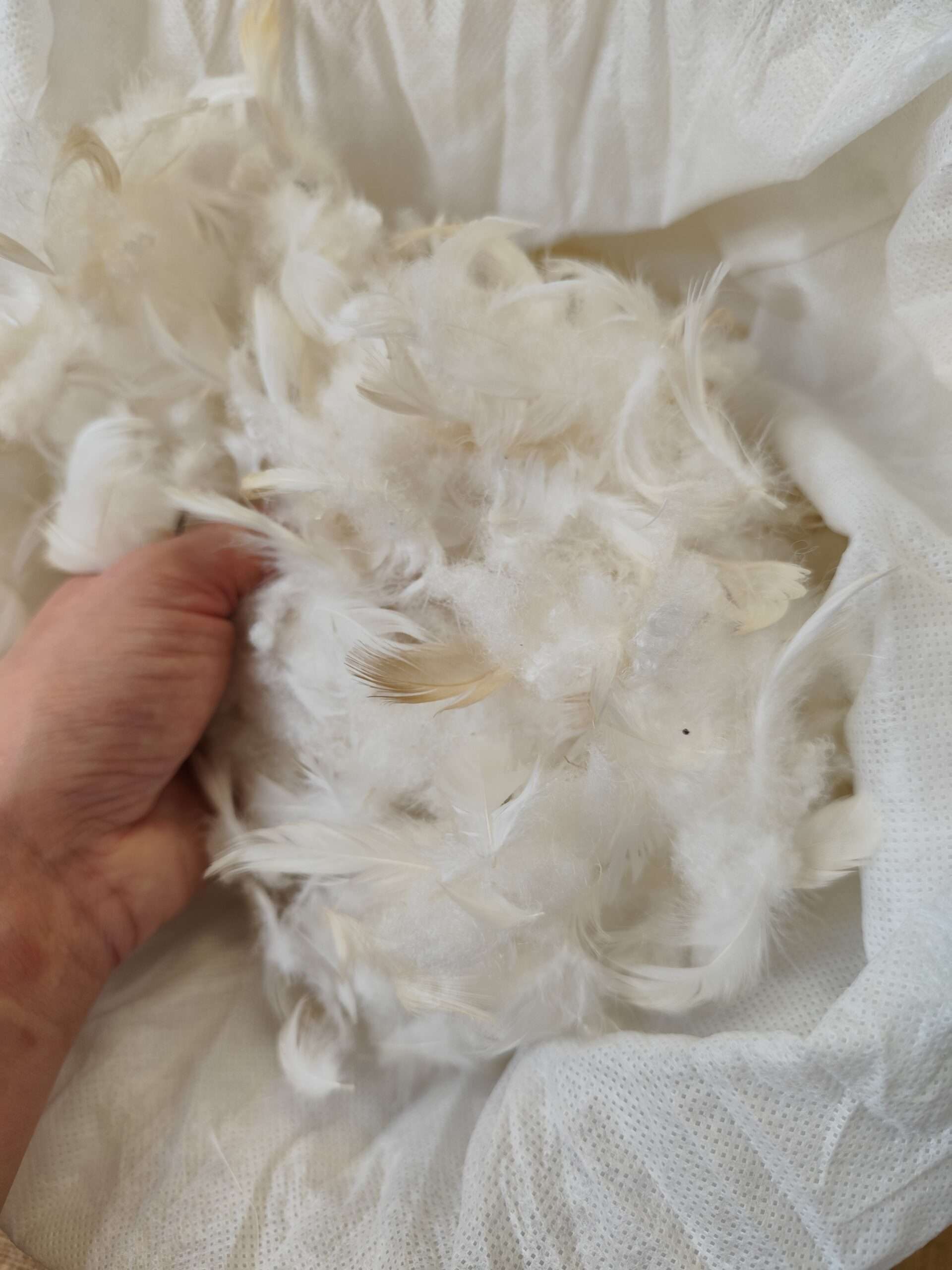You are currently viewing Suppliers for upholsterers: where to buy upholstery supplies ?